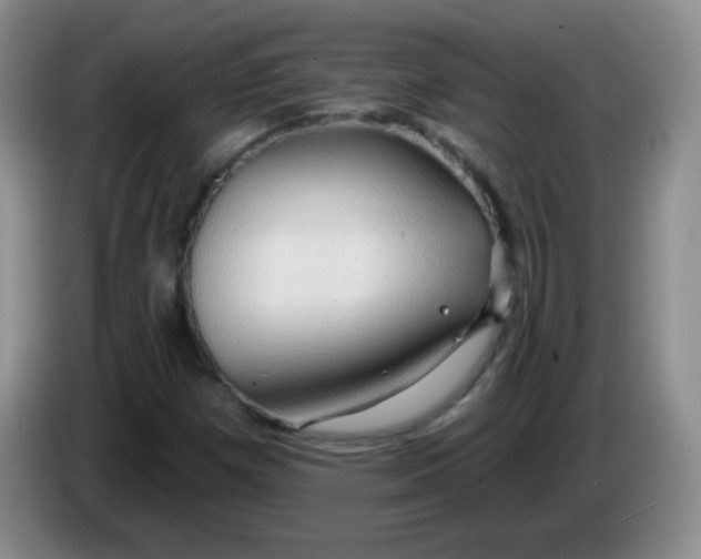 X0000083971257200703091755