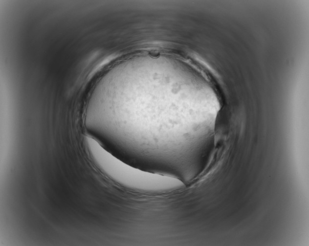 X0000083971259200703091755