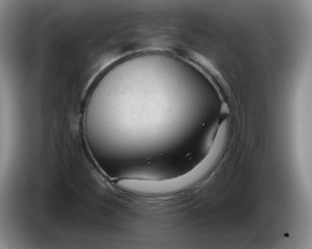 X0000083971260200703091755