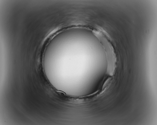 X0000083971261200703091754