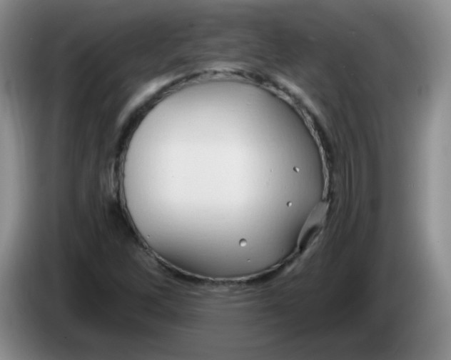 X0000083971262200703091754