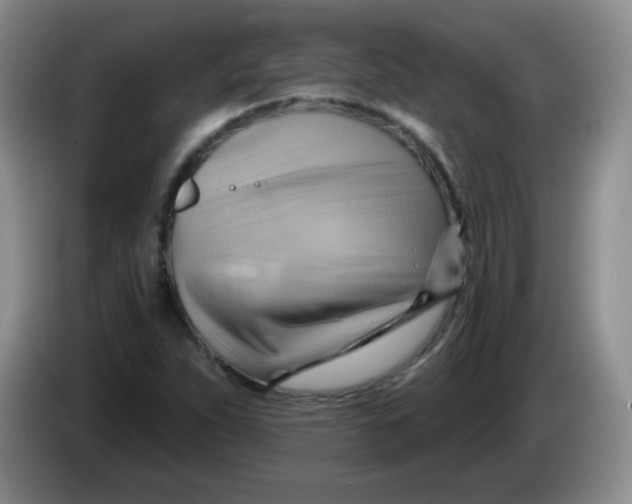 X0000083971263200703091754
