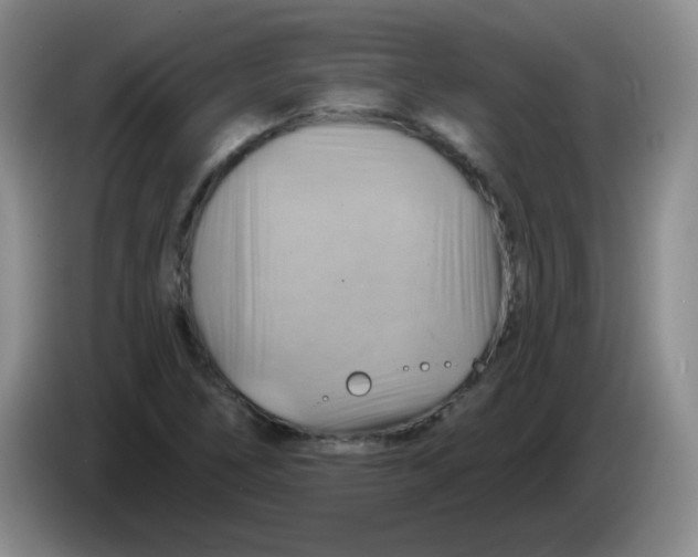 X0000083971266200703091754