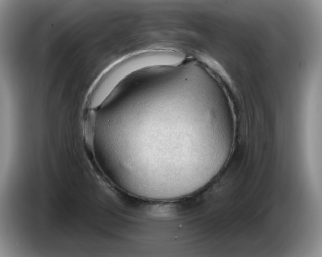 X0000083971268200703091754