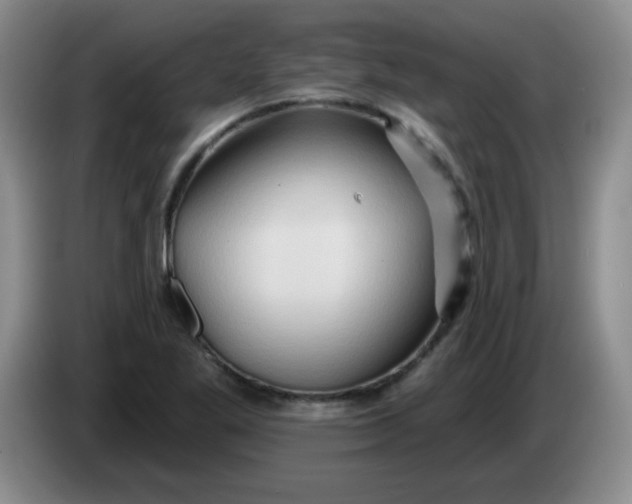 X0000083971269200703091754