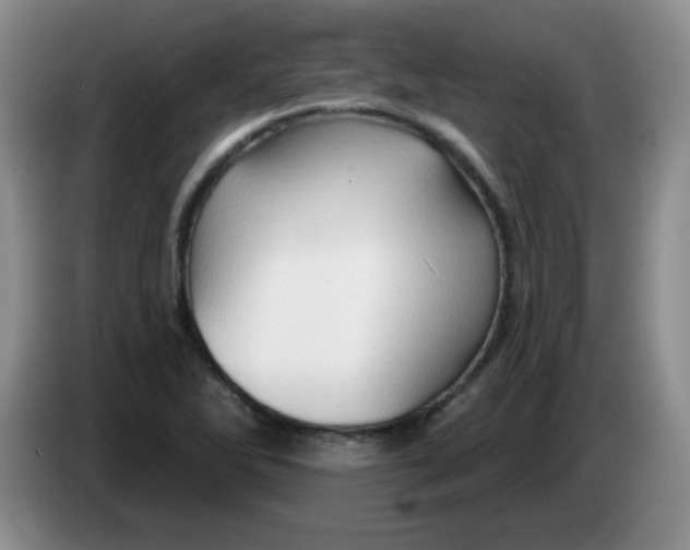 X0000083971270200703091754