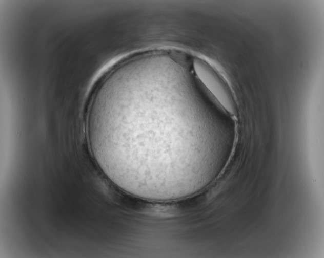 X0000083971271200703091754