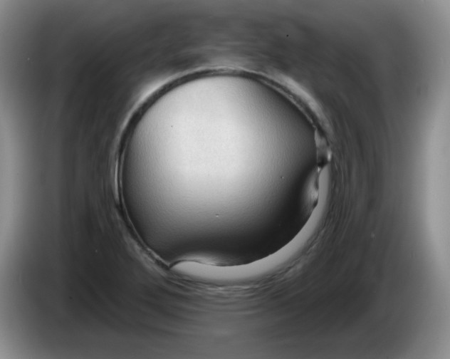 X0000083971272200703091754