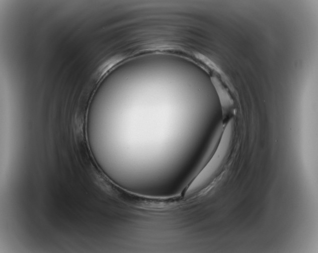 X0000083971273200703091754