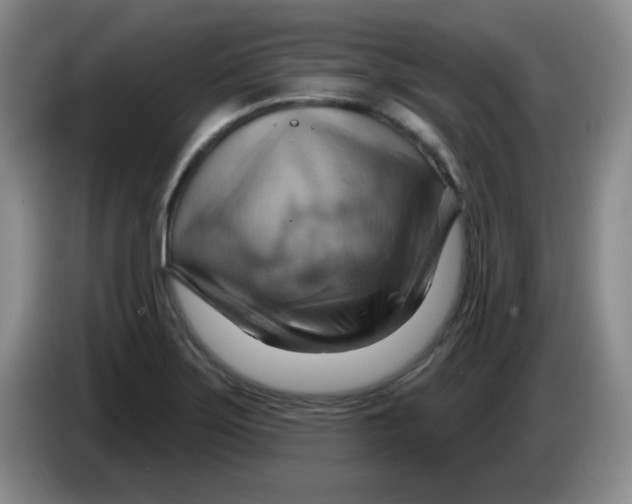 X0000083971275200703091754