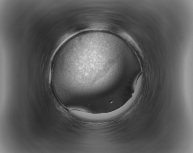 X0000083971276200703091754