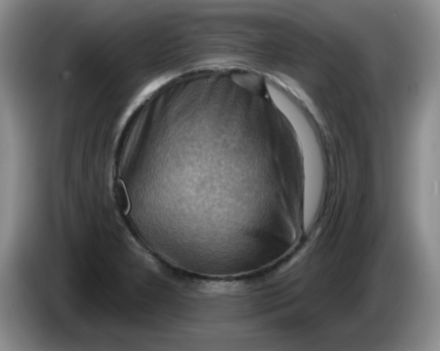 X0000083971277200703091754