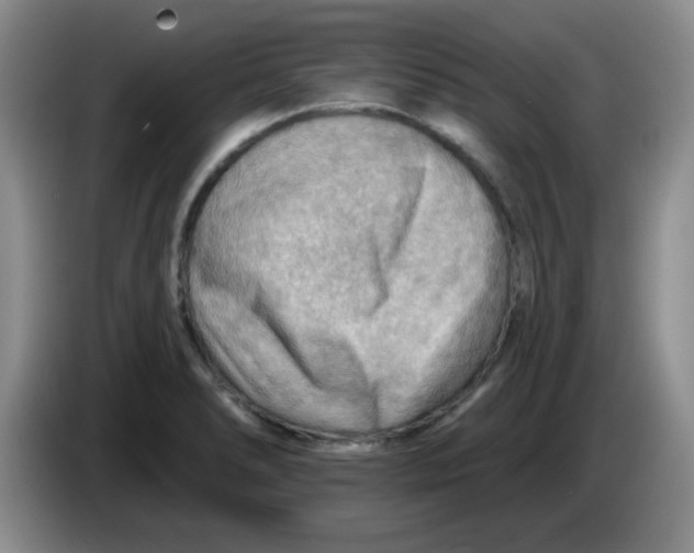 X0000083971278200703091754