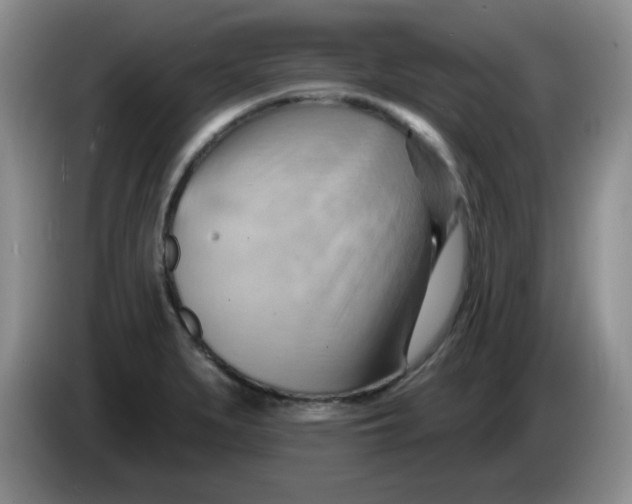 X0000083971279200703091754