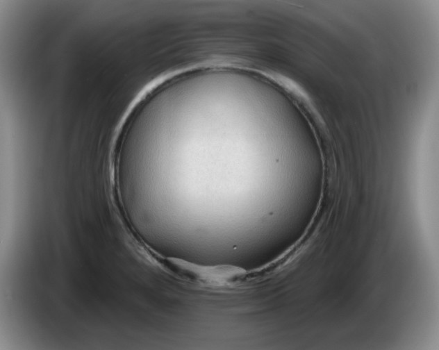 X0000083971280200703091754