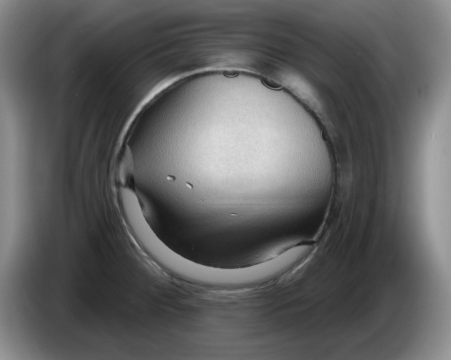 X0000083971284200703091754