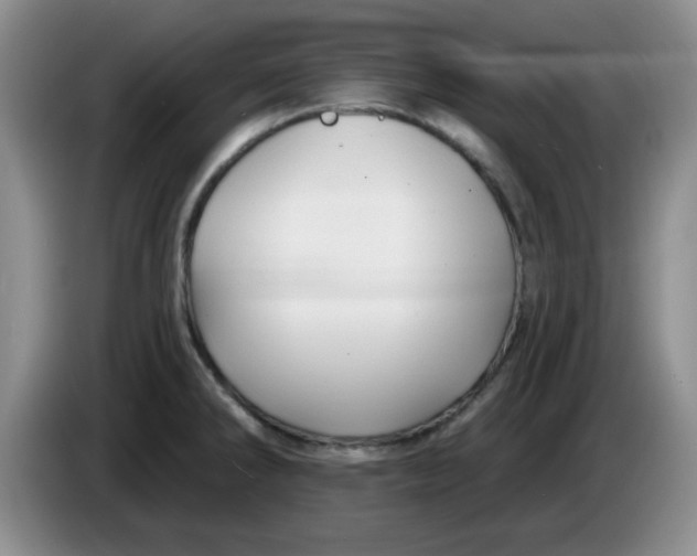 X0000083971286200703091754
