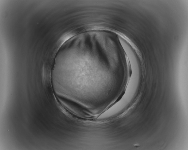 X0000083971289200703091754