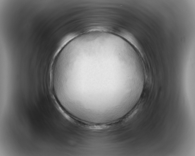 X0000083971290200703091754
