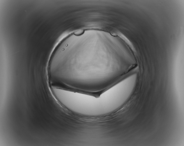 X0000083971291200703091754