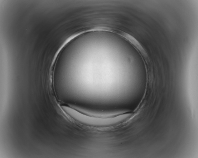 X0000083971292200703091754