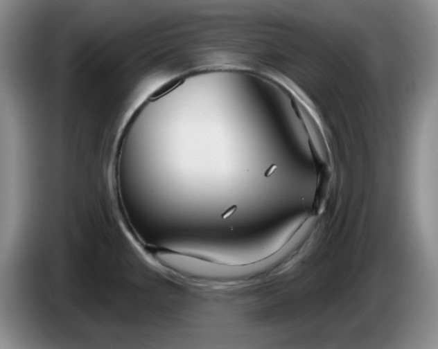 X0000083971293200703091754