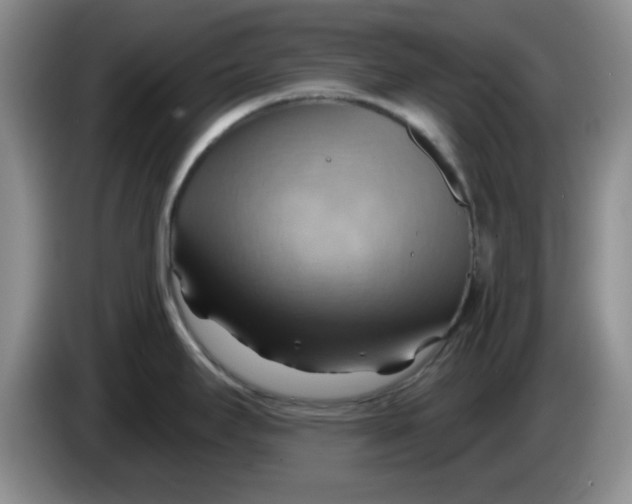 X0000083971295200703091754