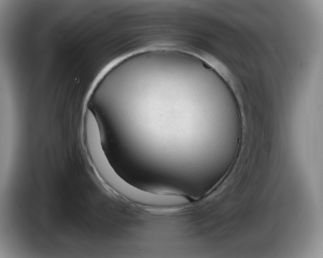 X0000083971296200703091754