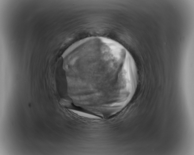 X0000083971297200703091753