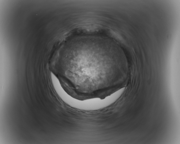 X0000083971298200703091753