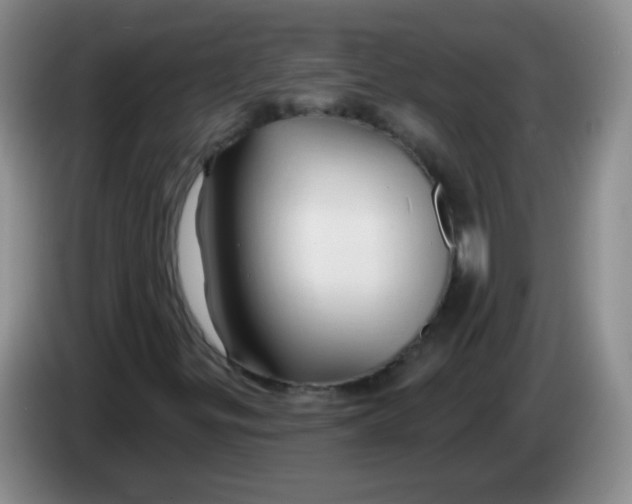 X0000083971299200703091753