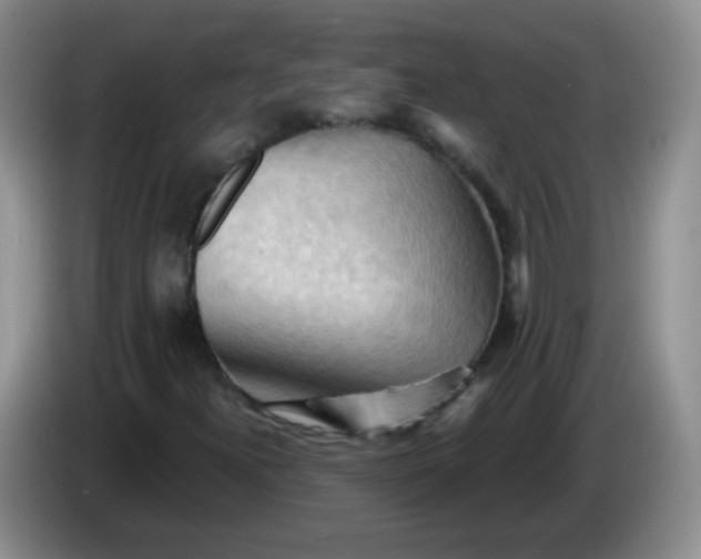X0000083971300200703091753