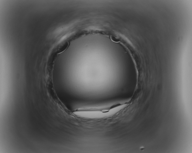 X0000083971303200703091753