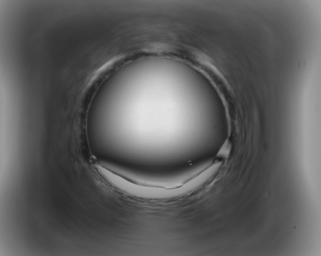 X0000083971304200703091753