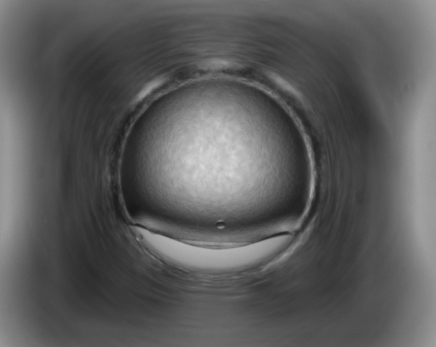 X0000083971305200703091753