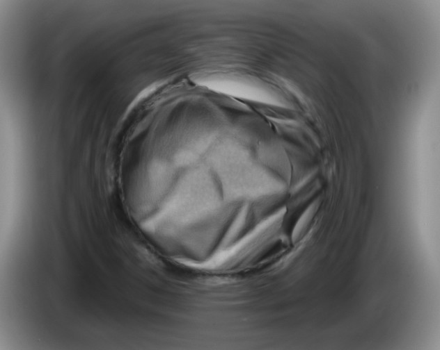 X0000083971306200703091753