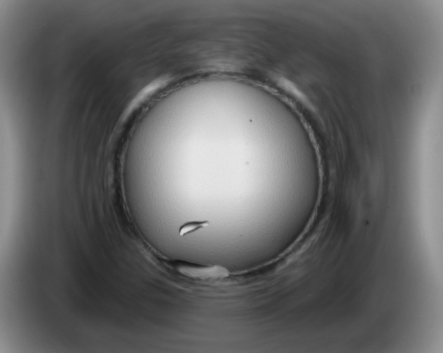 X0000083971307200703091754