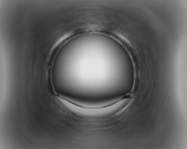 X0000083971309200703091754