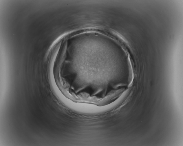 X0000083971310200703091754