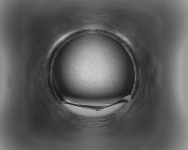 X0000083971311200703091754