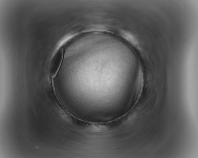 X0000083971312200703091754