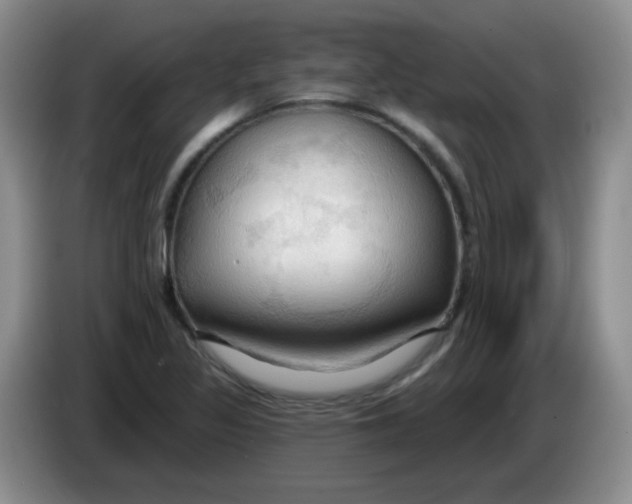 X0000083971317200703091754