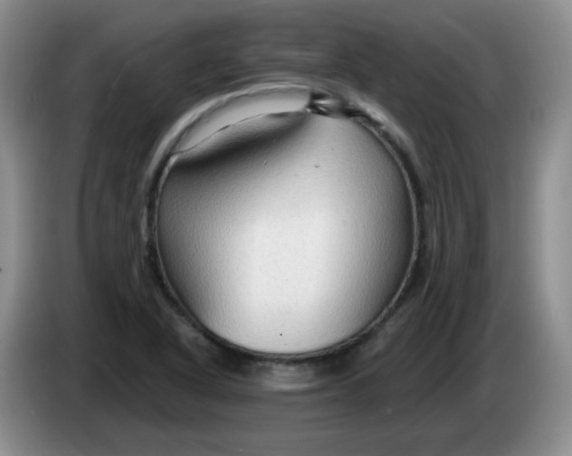 X0000083971318200703091754