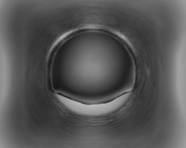 X0000083971319200703091754