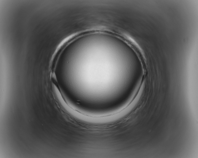 X0000083971320200703091754