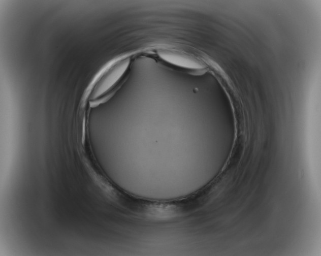 X0000083971323200703091754