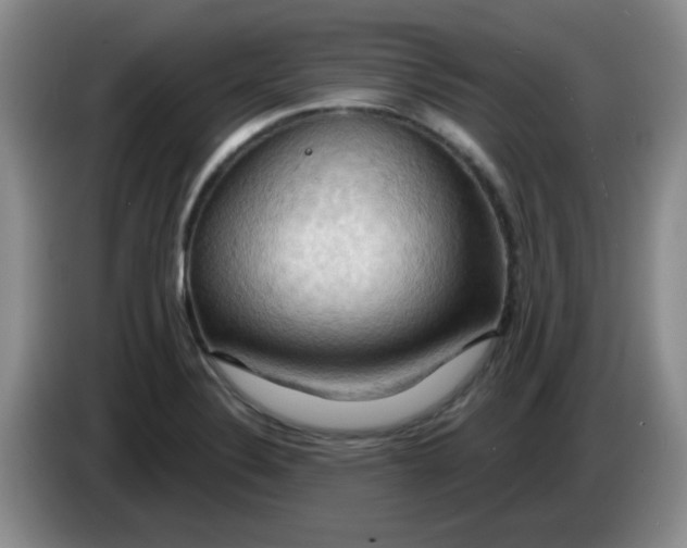 X0000083971324200703091754