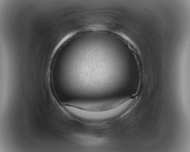 X0000083971325200703091754