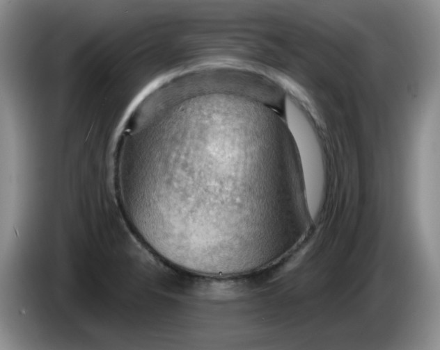 X0000083971326200703091754