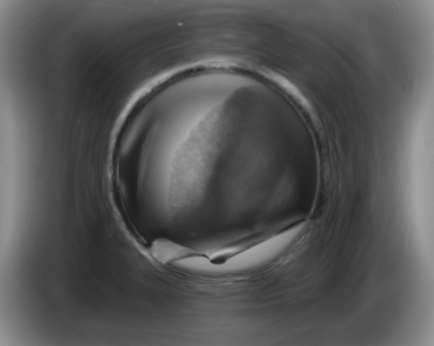 X0000083971327200703091754